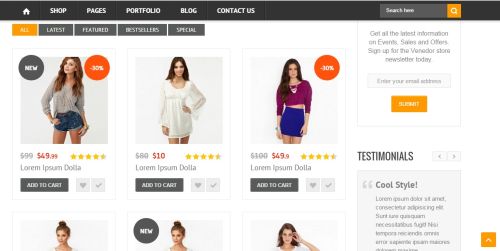 E Commerce Website Development