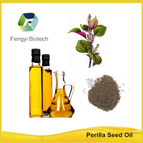 Bulk Natural Perilla Seed Oil