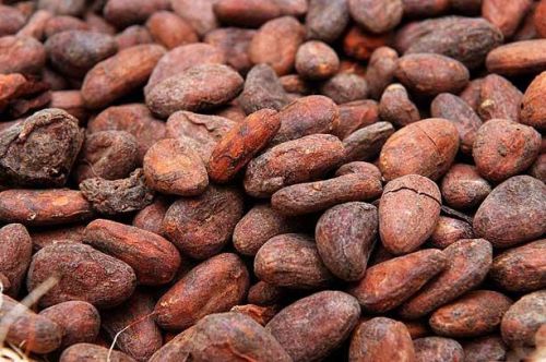 Cocoa beans Form : Beans