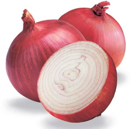 Onion