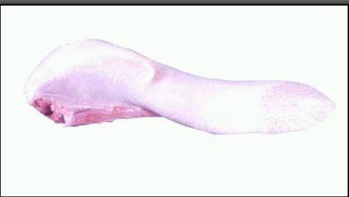 Frozen Buffalo Tongue