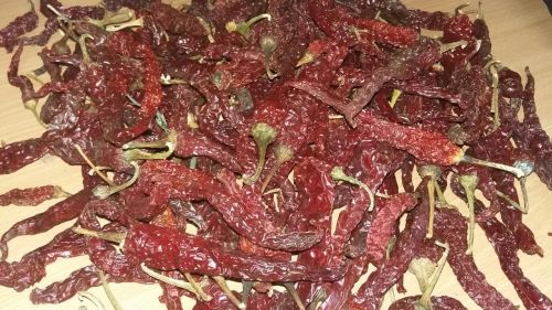 Raw Natural Byadgi Dried Red Chilli, For Cooking, Spices, Food Medicine, Grade Standard : Food Grade