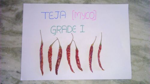 Teja Sannam Grade 1 Dried Red Chilli