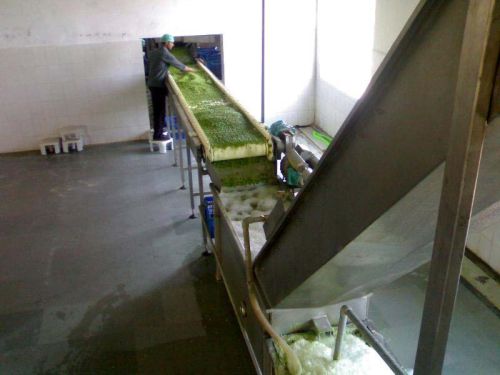 Electric 100-1000kg Frozen Vegetable Processing Line, Voltage : 440V