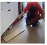 Rodent Control Services