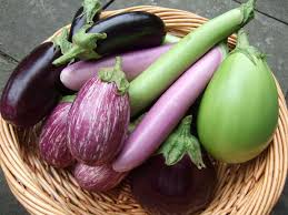 Fresh brinjal, Type : Vegetable Plants