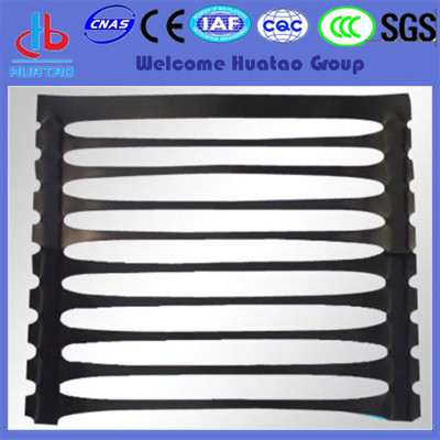 Geogrid