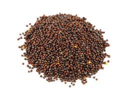 Mustard Seeds