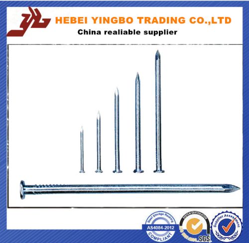 Galvanized Construction Polished Nails