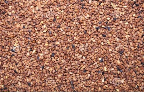 Indian Sesame Seeds