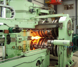 ZGD Automatic Forging Roll