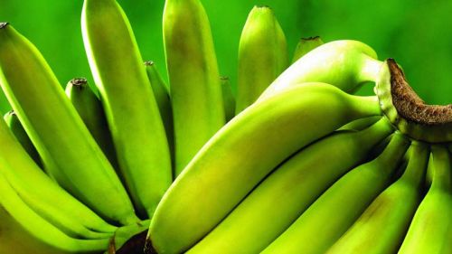 Fresh Green Banana