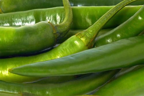 Fresh Green Chilli