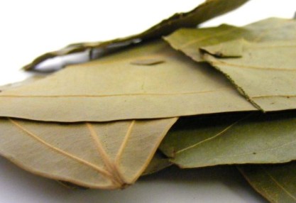 Bay Leaves, Style : Dried