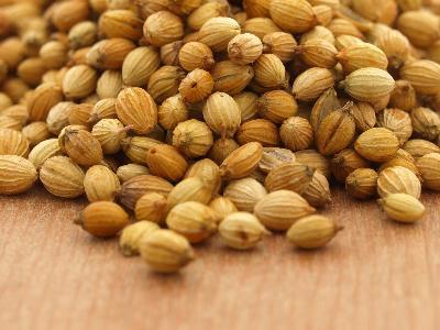 Organic Coriander Seeds