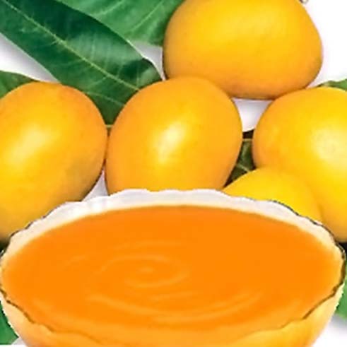 Mango pulp, Packaging Size : 215KG