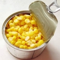 Canned Sweet Corn, Brand Name : gold, Certification : iso