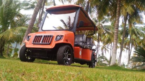 Electric Golf Cart