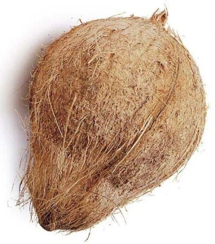 Semi Husked Coconut