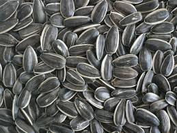 Sunflower seeds