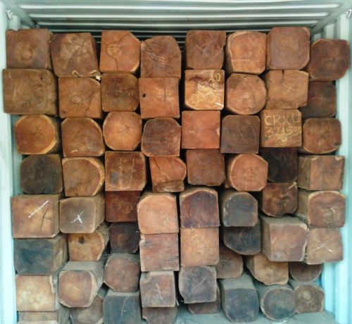 Teak Wood Rough Square Logs