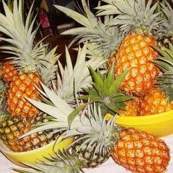 Yellow Pineapple