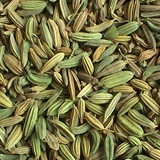 Fennel Seeds