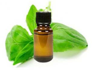 Cardamom Oil, Cultivation Type : Natural