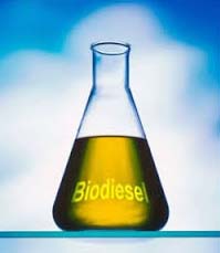 Biodiesel