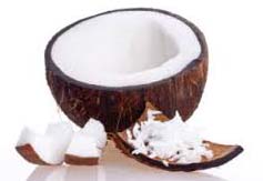 Soft Organic Fresh Coconut, For Cosmetics, Medicines, Pooja, Form : Solid