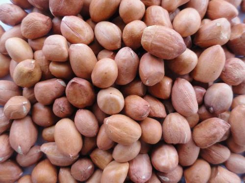 Groundnut Kernels