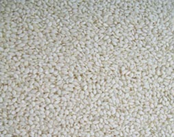 Sesame Seeds, Color : White