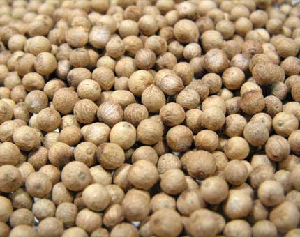 Naden White Pepper Seeds, Certification : ISO