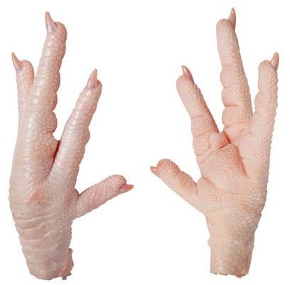 Frozen Chicken Paws, Style : Dried