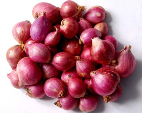 Small Onions