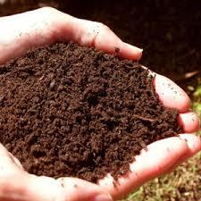 Organic manure