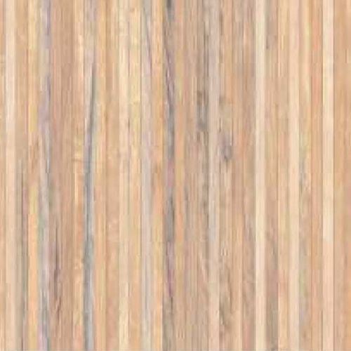 Hard Matt Series Digital Glazed Floor Vitrified Tiles (600X600)