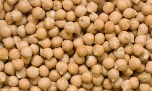 Chickpeas Seed