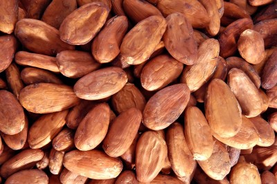 Cocoa beans, Grade : premium
