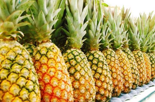 Fresh Pineapples