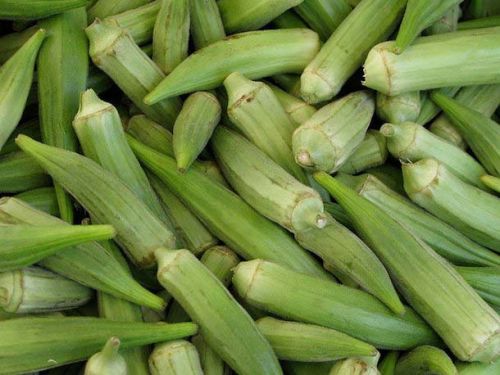 Okra, Packaging Type : green