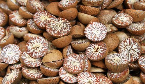 Raw Dried Betel Nuts