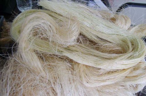 Sisal Fiber, Grade : premium for fabric