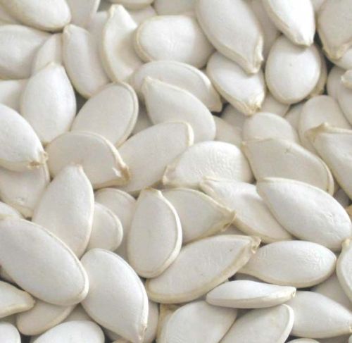White Pumpkin Seeds, Grade : premium for feed