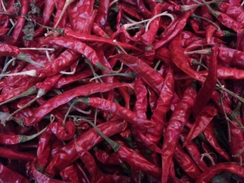 Dry red chilli, Packaging Size : 5-25kg