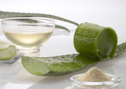 Aloe Vera Extract for Medicinal skin care