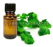 Coriander Oil, Purity : 100%