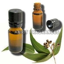 Eucalyptus Oil, For Fever, Infections, Stomach Issue