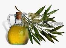 Tea Tree Oil, For Aromatherapy, Cosmetics, Flavour, Fragrancesfood Flavoring, Medicine, Purity : 100% Pure