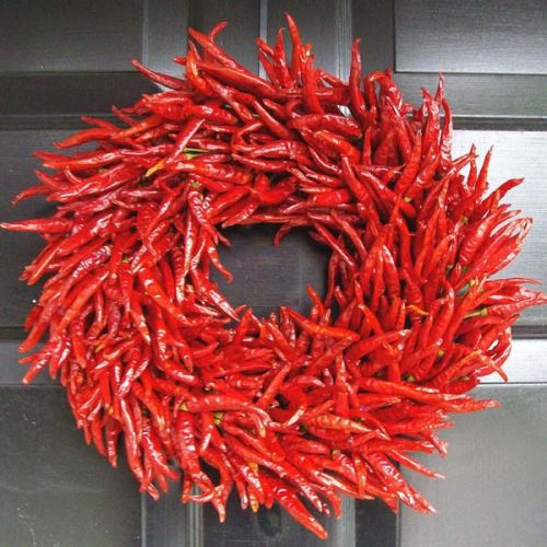 Dry Red Indian Chillies Byadgi